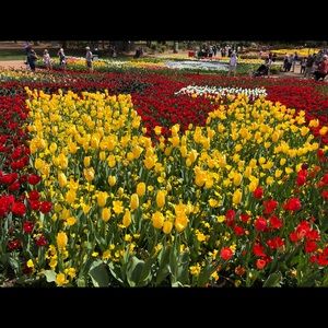 Meet your Posher, Kym